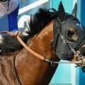 【ＢＣダートマイル】前走でＧ１級初制覇のロードフォンスは６着　好スタートも...