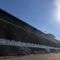 【米・BCダートマイル結果】ファーザーアドゥが大接戦を制す ロードフォンスは6着