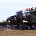 【ＢＣスプリント】日本馬初の歴史的快挙！テーオーエルビスがＶ　米ダートＧ１連勝に高柳大調教師「夢のよう」