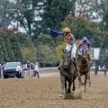 【BCスプリント】坂井瑠星騎乗テーオーエルビスが豪快差し切りV！米本命馬を捉え、日本馬初制覇…高柳大輔師「夢のようです」