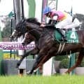 【ファンタジーＳ】ニクスルーナ重賞初挑戦初勝利、絶好調の岩田望来騎手は今年重賞８勝目「能力ある」