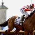 【BCフィリー＆メアSP】ウェイズアンドミーンズが6馬身差圧勝！プラ騎手「本当によく反応してくれた」…1番人気に応えてG1・3勝目、現役最後のレースとなる可能性も