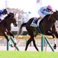 【東京５Ｒ・２歳新馬】イクイノックスの全妹エクアトーレが３馬身差で完勝　兄にも騎乗ルメール騎手「全部よかった」