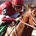 【ＢＣクラシック】まさか...フォーエバーヤング敗れる　ティズナウ以来２５年ぶり史上２頭目の連覇ならず