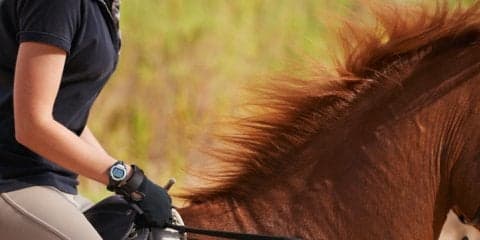 下半身の引き締めに効果アリ！ 乗馬で楽しくダイエット #読者特典あり