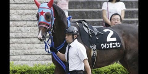 中京記念を荒れさせるのは「リピーター」。この穴馬３頭を信じて買う