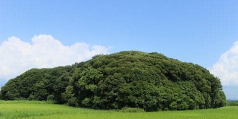 【小さな山旅】夏と千葉と最低山…千葉県富津市・稲荷山