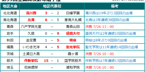 夏の甲子園2017 地区代表校、決勝進出校 7/25発表分