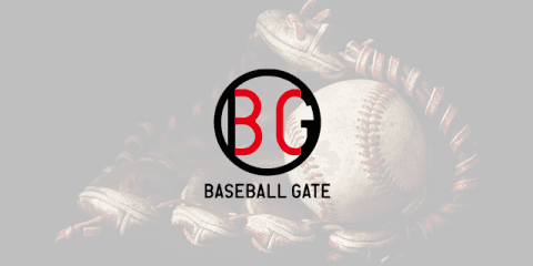 夏の甲子園・地方大会結果・山口大会