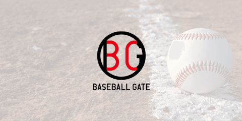 夏の甲子園・地方大会結果・島根大会