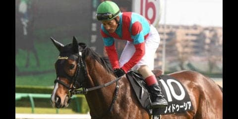 真夏の電撃戦アイビスSD。血統的視点から勝ち馬がクッキリ浮かんだ