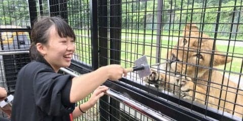 【夏休み】那須サファリパーク、新型アクティビティバス…檻の中に人間が