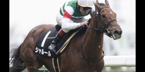 ＧＩ馬２頭に隙あり。クイーンＳで女性記者３名が選ぶ穴馬は４頭いた