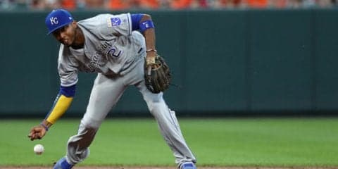 名手コンビの“共同作業”で美技完成　遊撃手が素手捕球→強烈送球→一塁手が鮮やか捕球