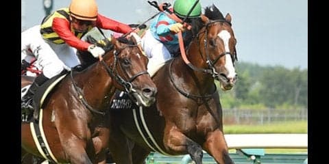 ローカルハンデ重賞は宝の山！小倉記念はコース適性重視で高配当ゲット