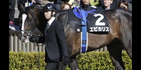 穴党記者が吟味。レパードＳはこの３頭に「打倒エピカリス」を託す