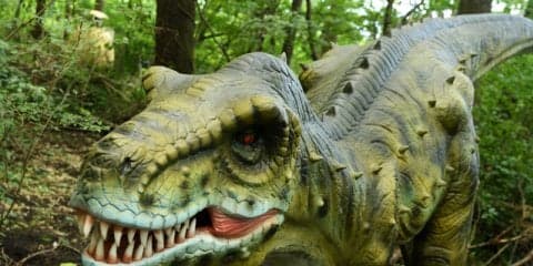 【SUPER GT 第5戦】富士山麓に恐竜が出現した