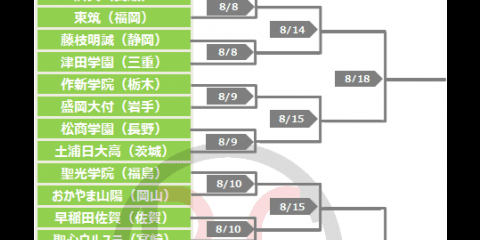 第99回 全国高校野球選手権大会 組合せ （1回戦-3回戦 予定）