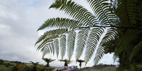 FIAが遠方イベント拡大を断念？ 復帰目指すニュージーランドに暗雲