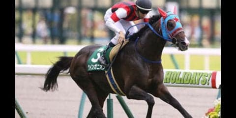 荒れない関屋記念。この「実績馬」が外枠ならば、勝ったも同然