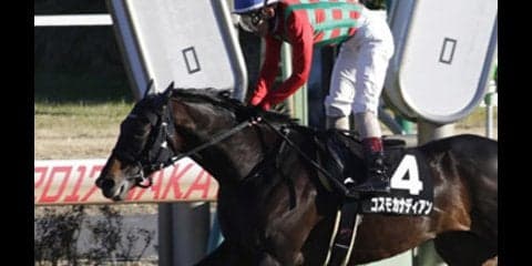 穴党記者が「人気馬そっちのけで推す３頭」がエルムＳで砂嵐を起こす