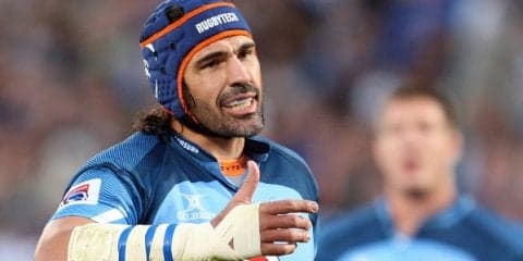  ブルズの英雄・マットフィールドがライオンズFWコーチ就任　再び師のもとへ 