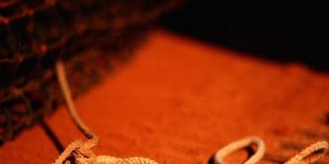 女子決勝はアメリカがウクライナを2-1で下して優勝 [ワールドジュニアU14 決勝大会]