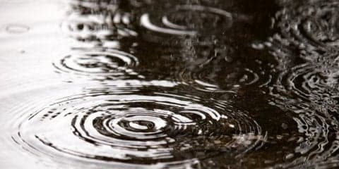 【高校野球2017夏】甲子園8日目は順延、決勝は23日予定