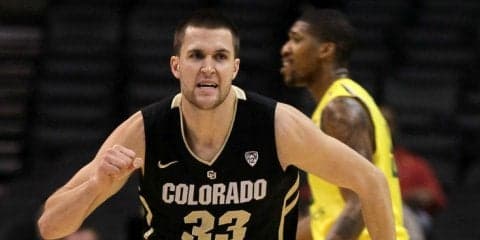 タイプの異なる2人のビッグマン、バーグレンとダフォーを獲得し、チームの方向性が定まった新潟アルビレックスBB