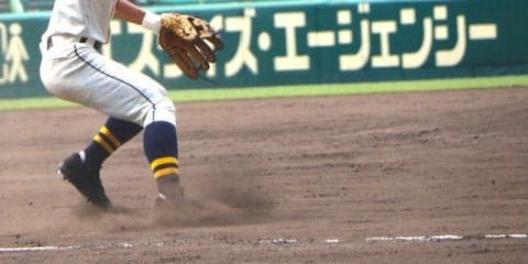 平坦なトンボがけまで3年…甲子園の番人「阪神園芸」の一人前とは