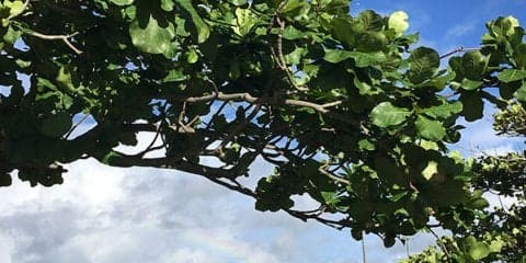 大会4日目、女子シングルス2、3回戦、女子ダブルス3回戦（準々決勝）結果 [第44回全中]