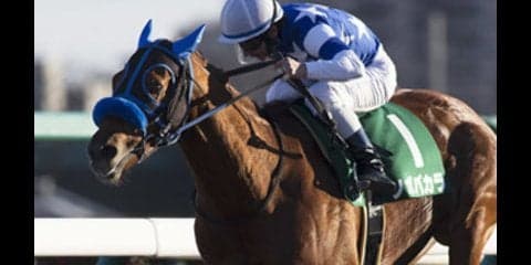 キーンランドＣの傾向から、オイシイ穴馬が３頭も見つかってしまった