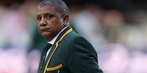  好調スプリングボックス、アルゼンチン代表に連勝 