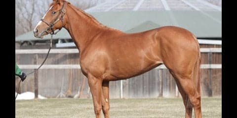 怪物オルフェに「そっくり」な妹、デルニエオールがまもなくデビュー