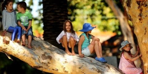 木登りで子どもの考える力を伸ばす！都内のプレーパーク5選