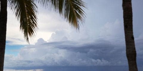 【MLB】イチロー所属のマーリンズが異例措置　ハリケーン直撃に備え家族も遠征帯同