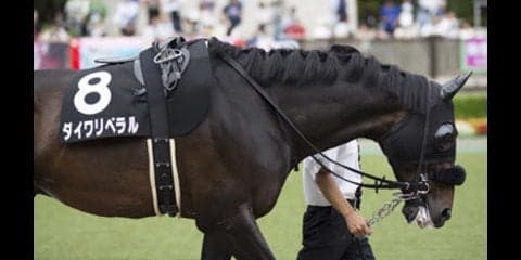 京成杯AHに「人気薄が激走パターン」あり。今年はこの３頭で大勝負