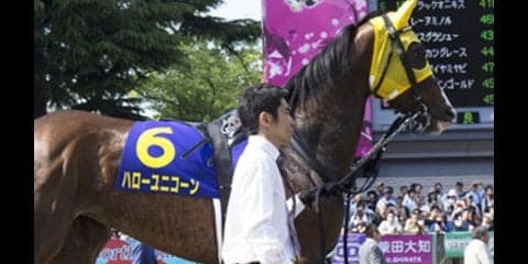 稼げるローズＳは「マジでやる気の４頭」が調整中の人気馬を吹き飛ばす