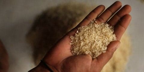 【記者ブログ】フィリピンに来て思う…「日本人は本当にコメ好きなのか？」という疑問とその答え