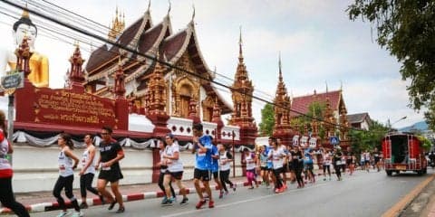 チェンマイマラソン＆タイ観光ツアー開催…千葉真子がツアー同行