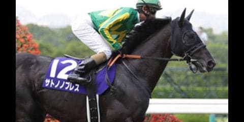 兄は10月の凱旋門賞に挑戦。妹・サトノルーリーにも熱い視線が