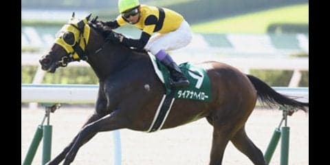 新星馬と古豪馬。スプリンターズＳは「ダ」で始まる２頭が狙い目ダ！