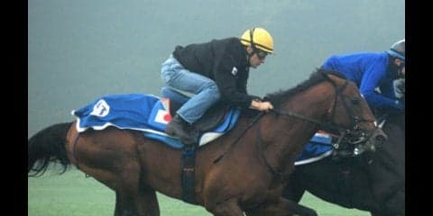 凱旋門賞のサトノダイヤモンドに課題続出。ノブレスよ、アシスト頼む