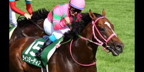 中高年の夢のせて。スプリンターズＳは７歳ラインミーティアで大勝負