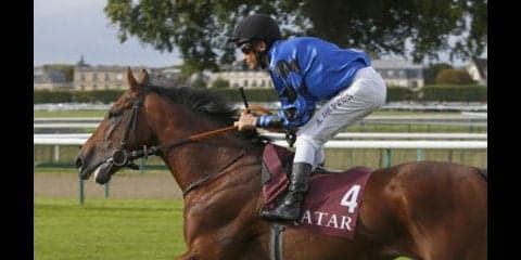  凱旋門賞の「世界が見落とした穴馬」をフランス女性記者がささやいた