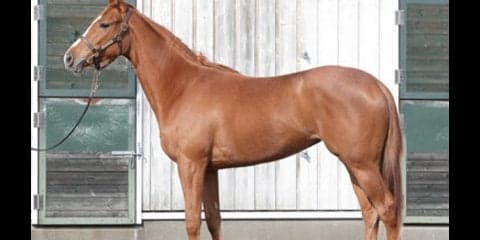 キューバ人も期待？　ソシアルクラブはあの女傑ブエナビスタの愛娘