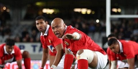  今秋フランスで日本代表×トンガ代表戦決定！　苦手相手と2年ぶりの激突へ 