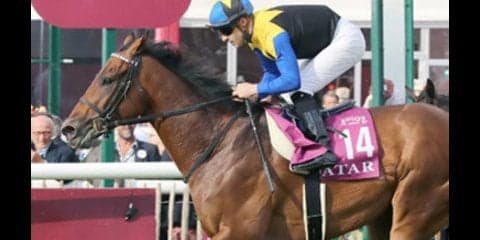 毎日王冠のマカヒキ。復活か、それともダービーで燃え尽きていたのか