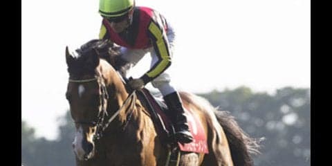 京都大賞典は稼ぐチャンス。穴党記者たちが「この２頭」で一致した！