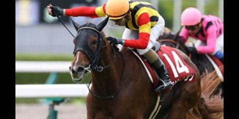 秋華賞に挑むラビットラン。ローズＳを快勝した強さは「本物」か